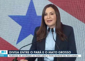 STF remarca audiência sobre disputa territorial entre PA e MT