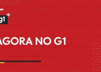 Nova variante da gripe Influenza A é identificada em quatro amostras analisadas em MT