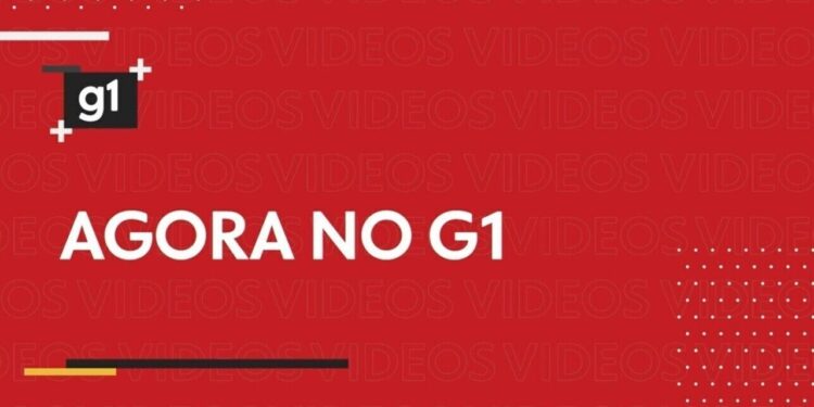 Nova variante da gripe Influenza A é identificada em quatro amostras analisadas em MT