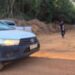 Homem desaparecido há mais de 10 dias é encontrado morto em área de preservação em MT