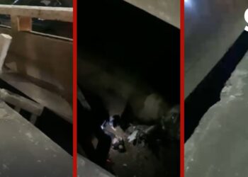 VÍDEO: mulher sofre queda de quase 15 metros em vão lateral de ponte em MT