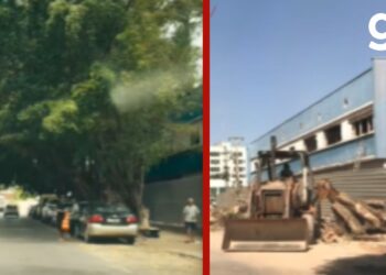 Vídeo mostra transformação de rua após retirada de árvores em Cuiabá