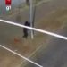 VÍDEO: dupla derruba poste para roubar câmeras de segurança em Rondonópolis (MT)
